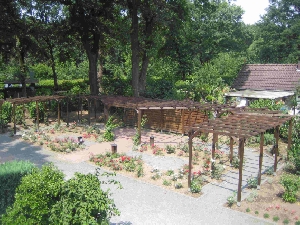 Rosengarten: Juli 2007